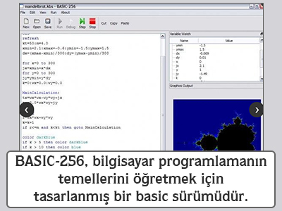 BASIC-256, bilgisayar programlamanın temellerini öğretmek için tasarlanmış bir basic sürümüdür